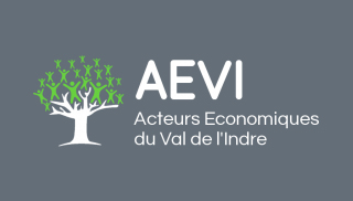 logo AEVI